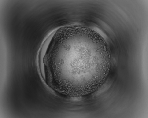 X0000092281055200709211152