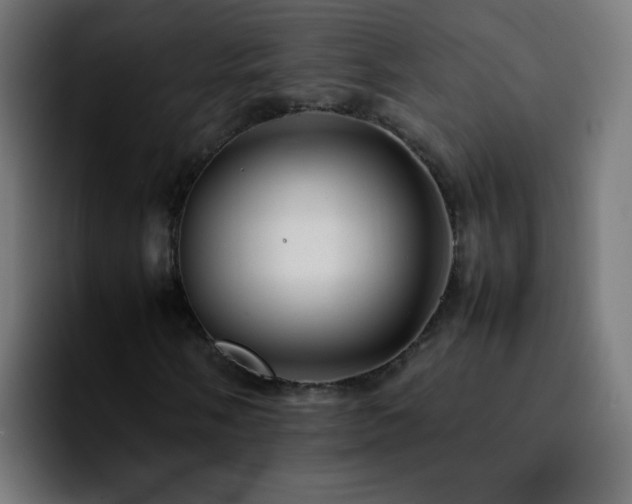 X0000092281058200709211151