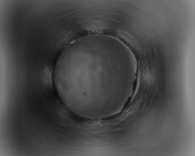 X0000092281060200709211151