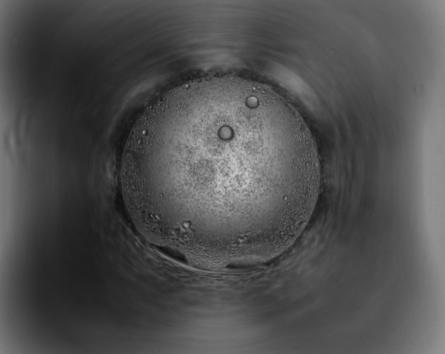 X0000092281063200709211151