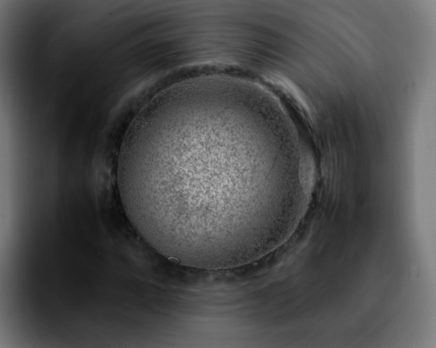 X0000092281064200709211151