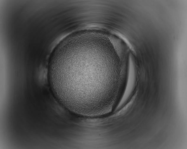 X0000092281066200709211151