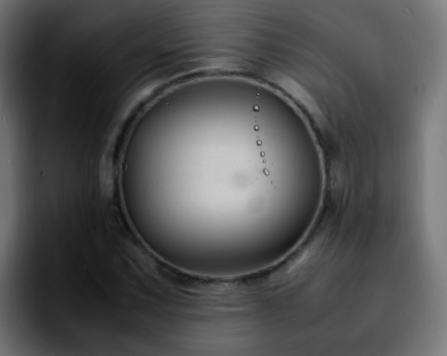 X0000092281067200709211151