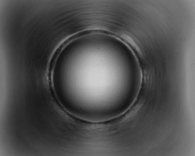 X0000092281068200709211151