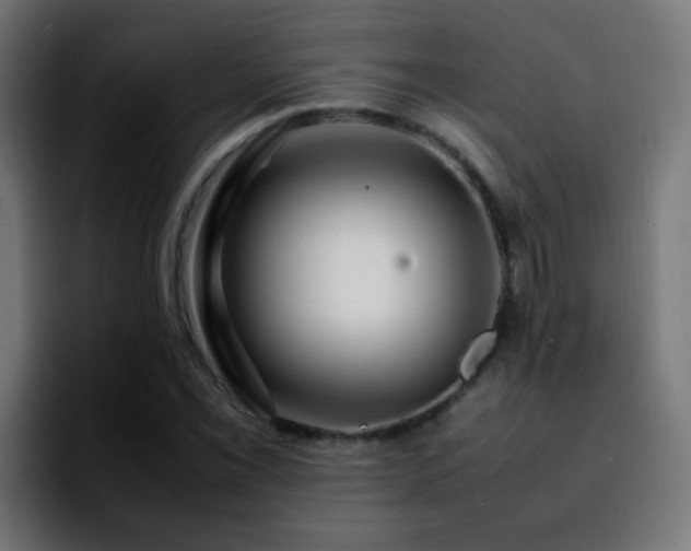 X0000092281069200709211151