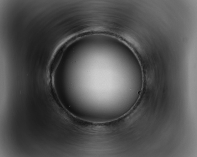 X0000092281070200709211151