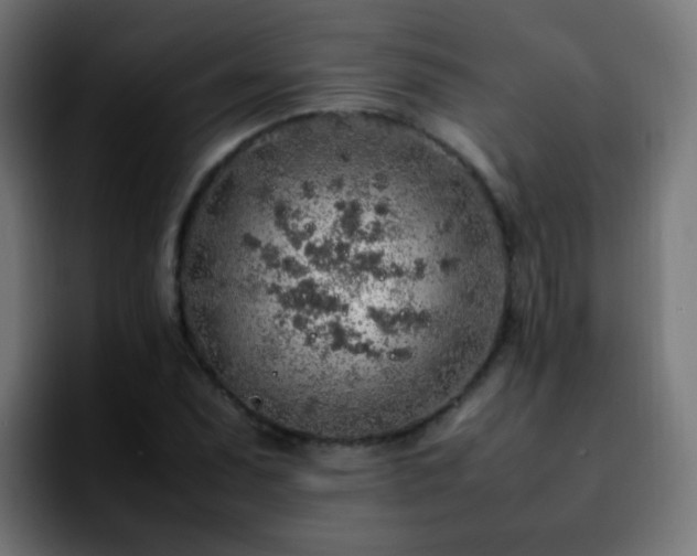 X0000092281071200709211151