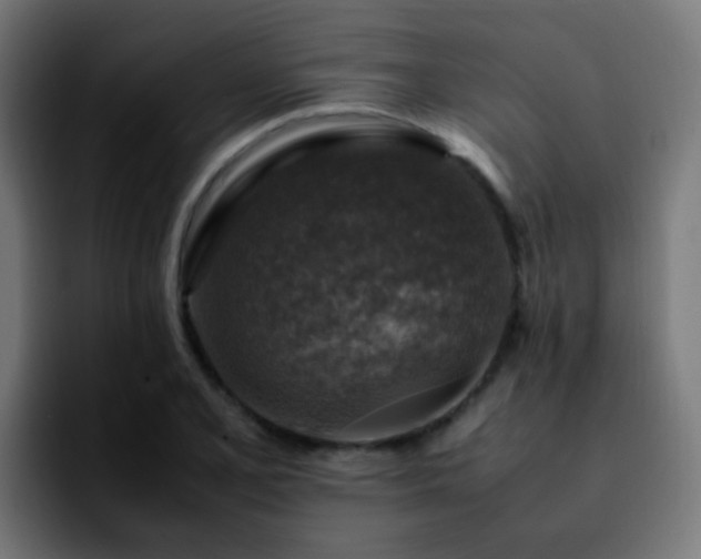 X0000092281077200709211151