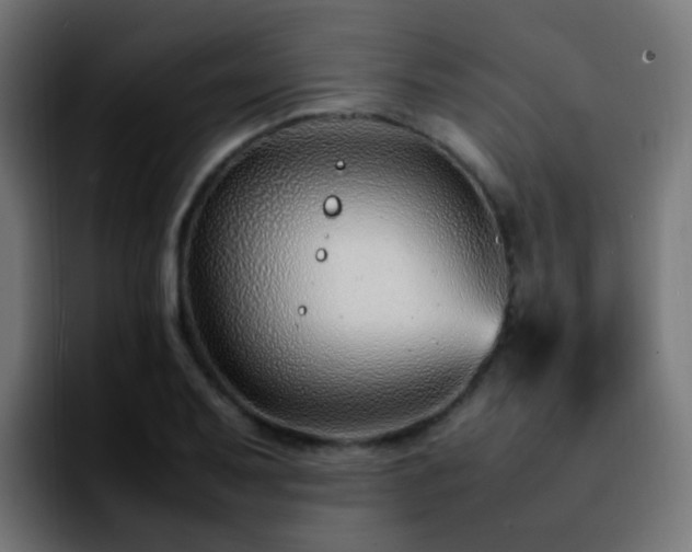 X0000092281079200709211151