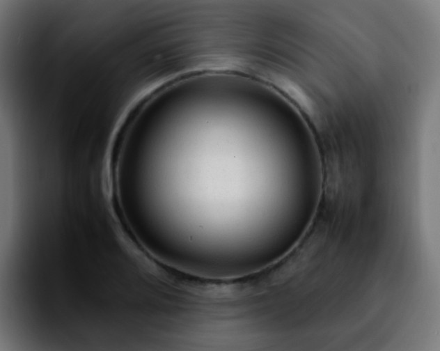 X0000092281080200709211151