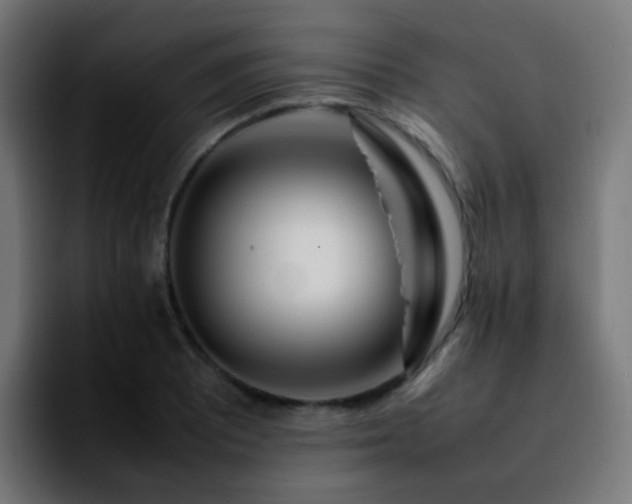 X0000092281081200709211151