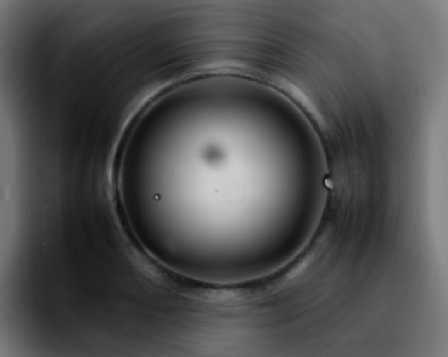 X0000092281082200709211151