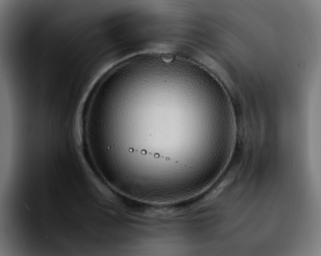 X0000092281083200709211151