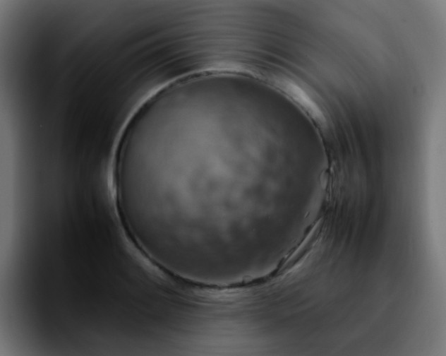 X0000092281084200709211151