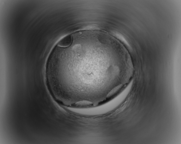 X0000092281087200709211151