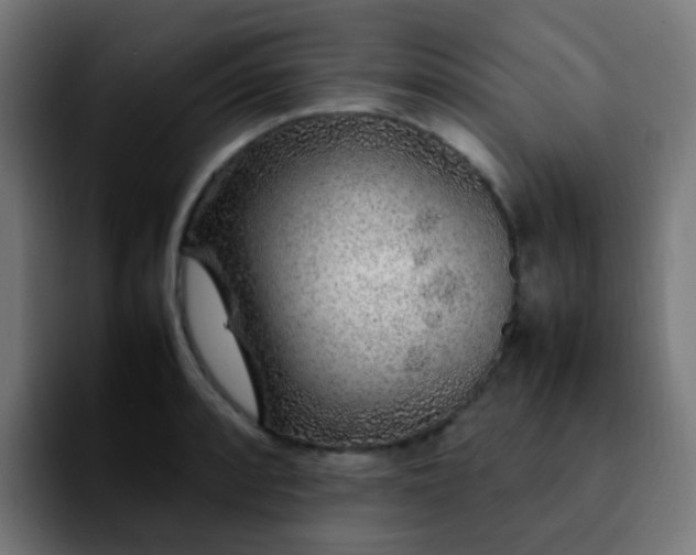 X0000092281088200709211151