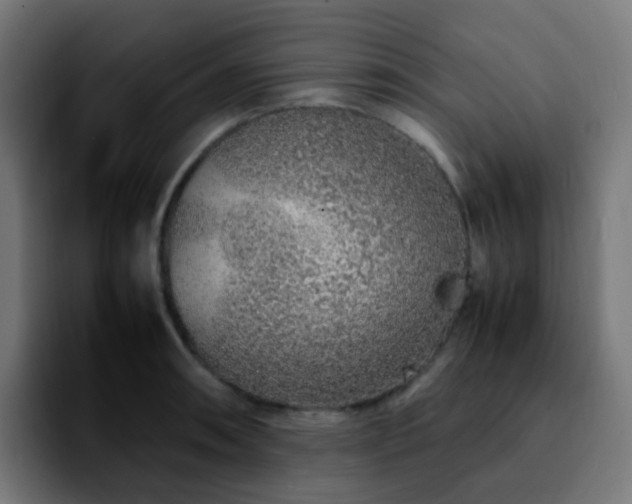 X0000092281090200709211151