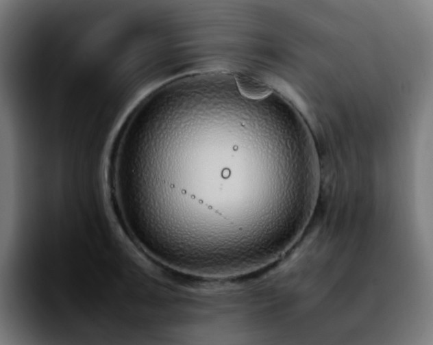 X0000092281091200709211151