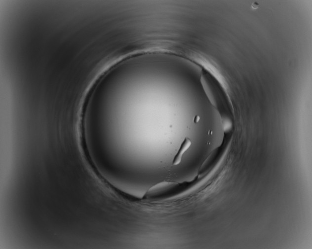 X0000092281093200709211151