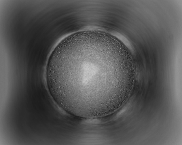 X0000092281094200709211151