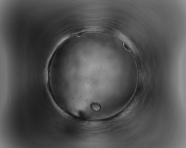 X0000092281095200709211151