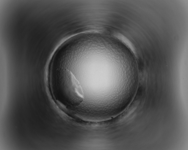 X0000092281099200709211151