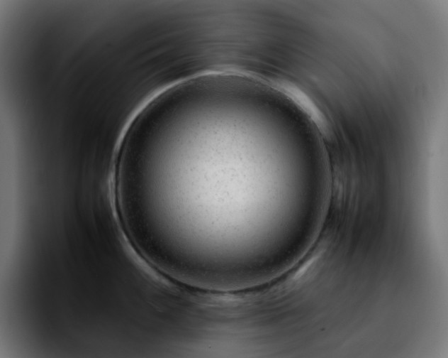 X0000092281100200709211151