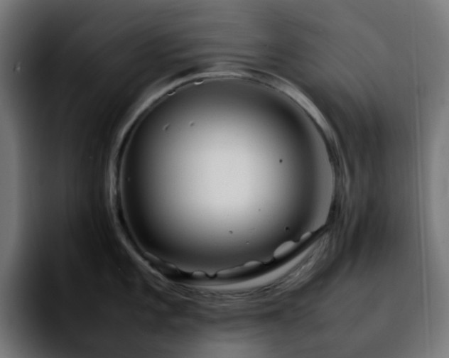 X0000092281101200709211151