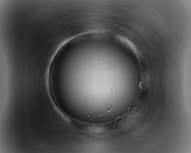 X0000092281103200709211151