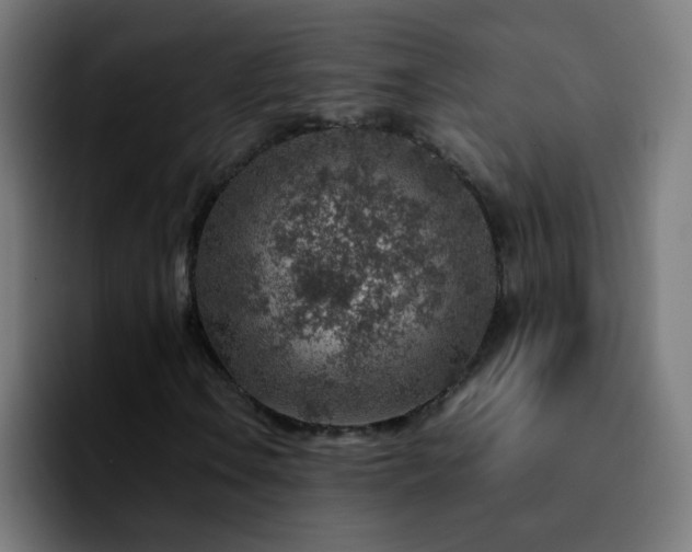 X0000092281106200709211150