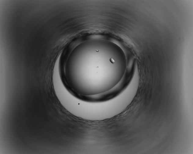 X0000092281110200709211150