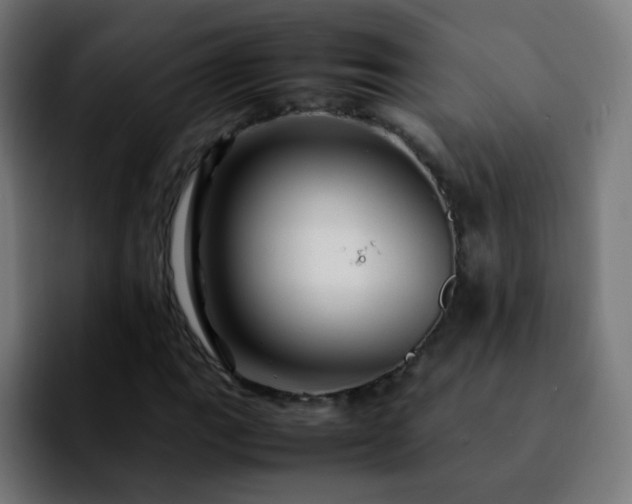 X0000092281111200709211150