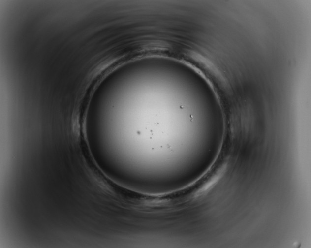 X0000092281113200709211150