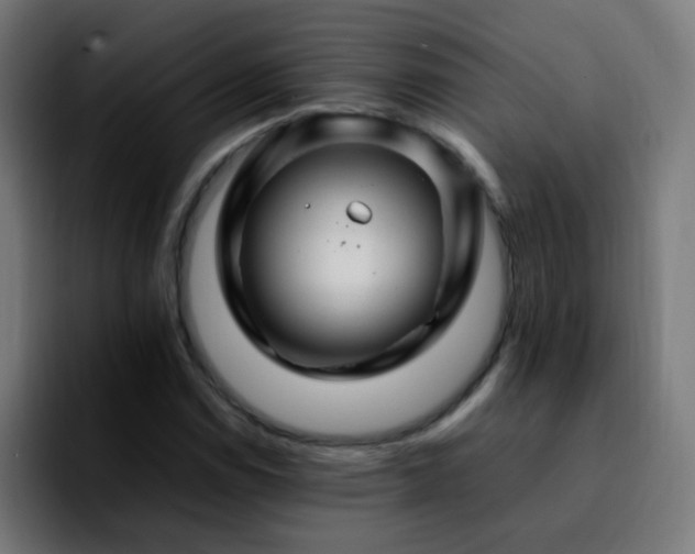 X0000092281114200709211150