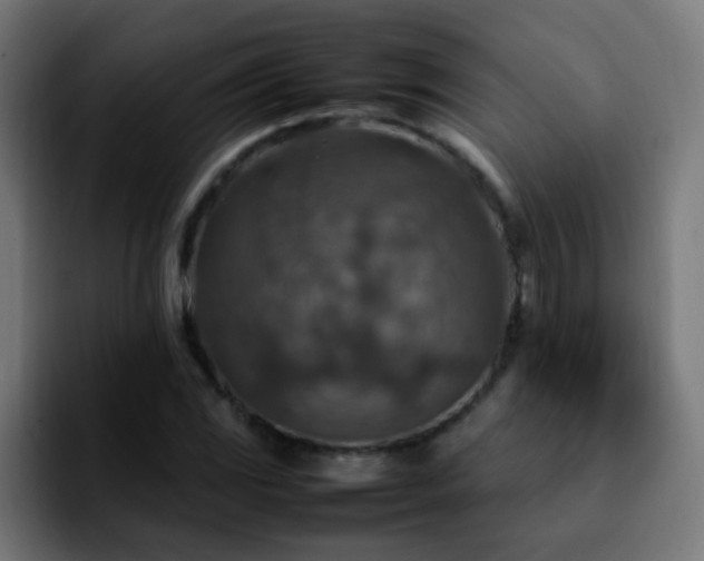 X0000092281117200709211150