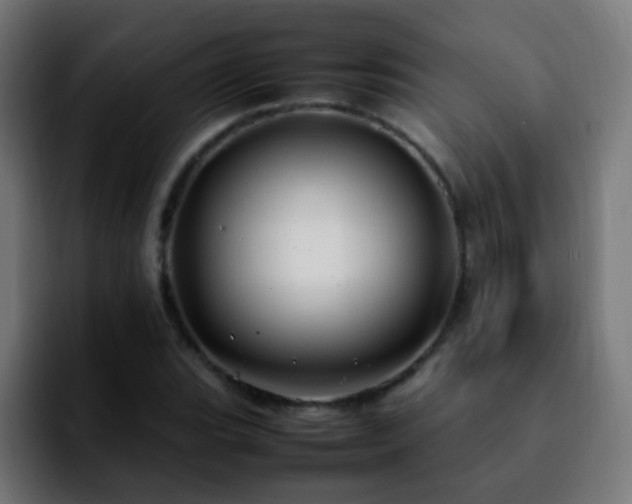 X0000092281119200709211150