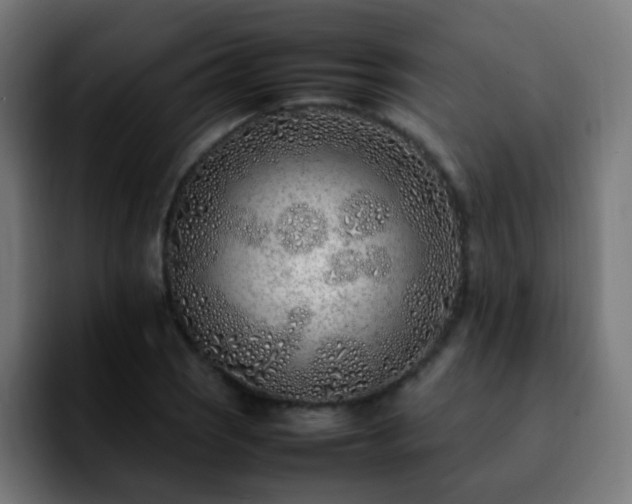 X0000092281121200709211150