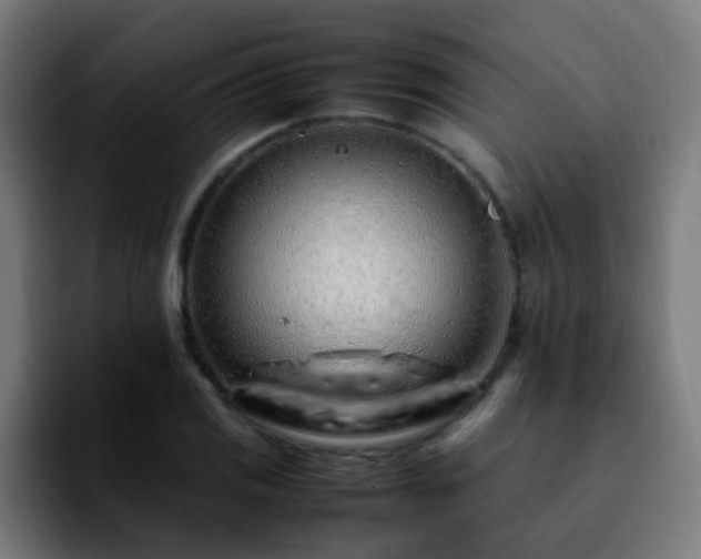 X0000092281125200709211150