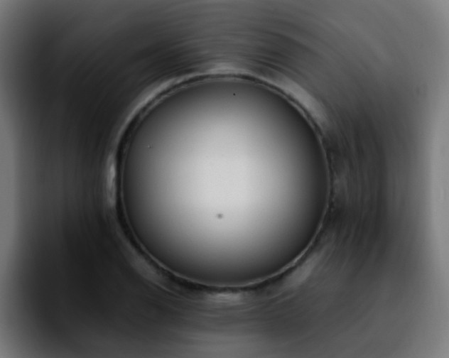 X0000092281126200709211150