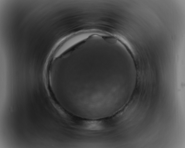 X0000092281127200709211150