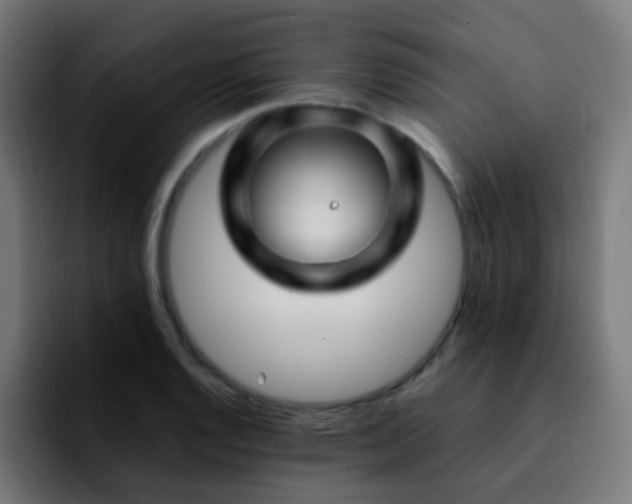 X0000092281128200709211150