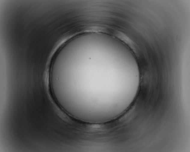 X0000092281130200709211150