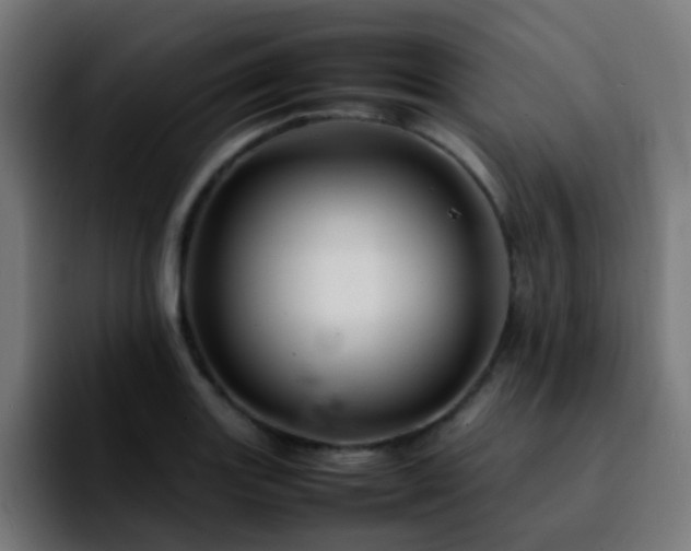 X0000092281131200709211150