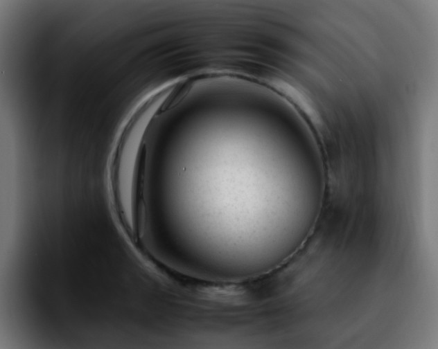 X0000092281133200709211151