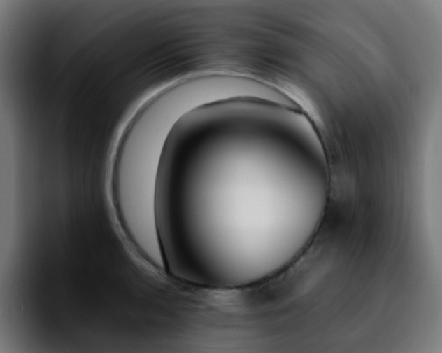 X0000092281136200709211151