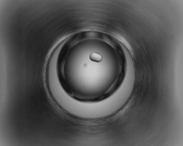 X0000092281138200709211151