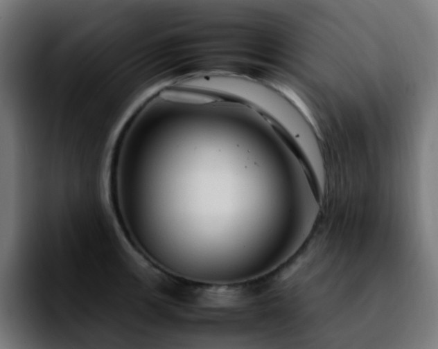 X0000092281139200709211151