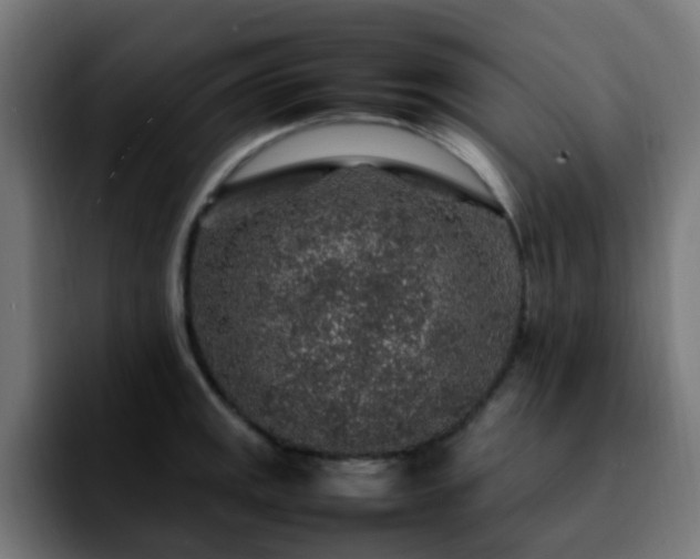 X0000092281141200709211151