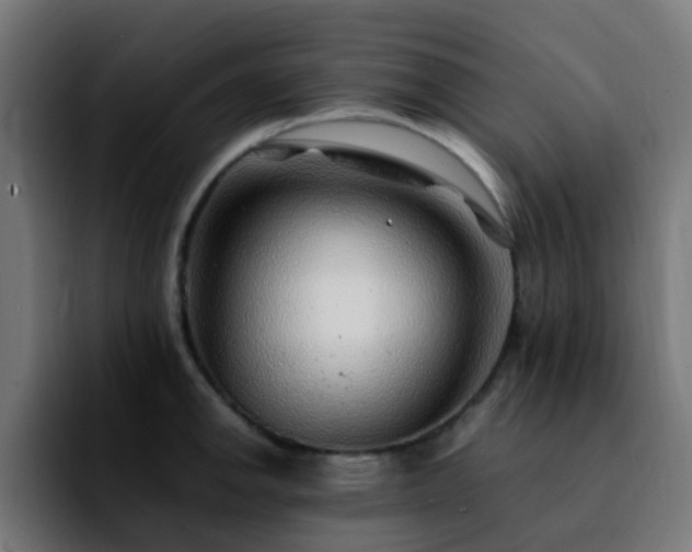 X0000092281142200709211151