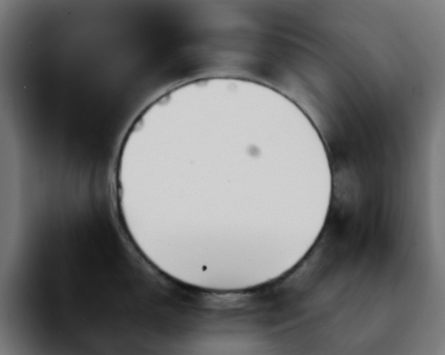 X0000092281150200709211151